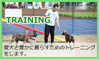愛犬と暮らすためのトレーニング
